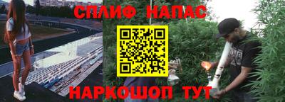 амф Славянск-на-Кубани