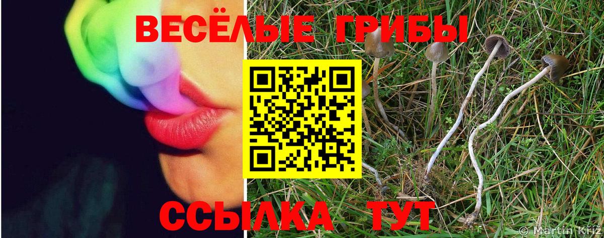 Ярославль  Галлюциногенные грибы мухоморы  наркота  Вход с VPN  Псилоцибиновые грибы ЛСД 